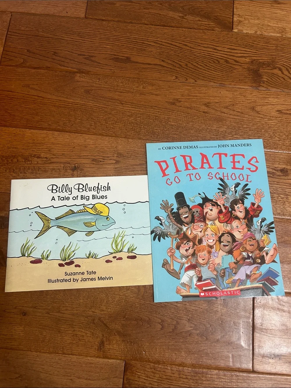 2 softcover kids books